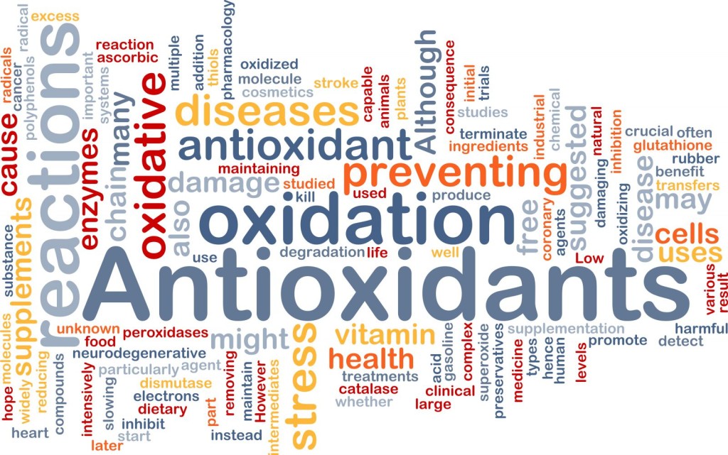 20160801 antioxidant_0721